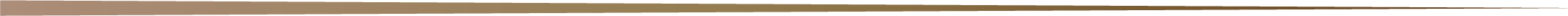 Decorative line